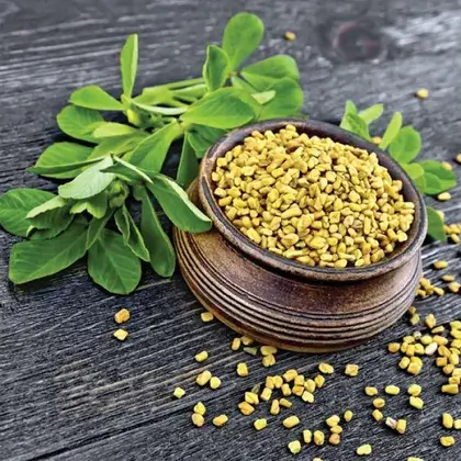 #3. Семена фенугрека